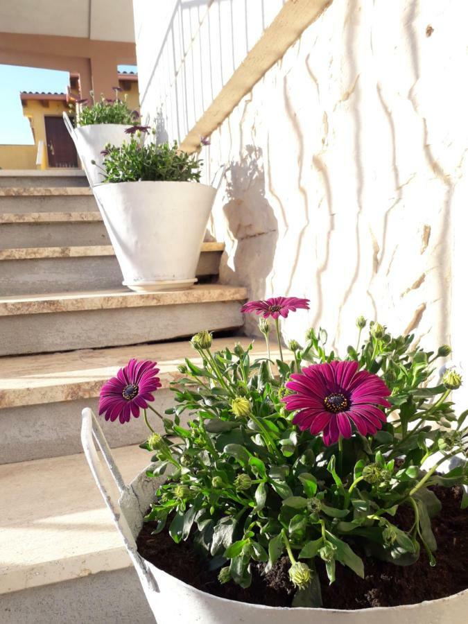 Il Vaso Di Creta Bed and Breakfast Ragusa Eksteriør billede